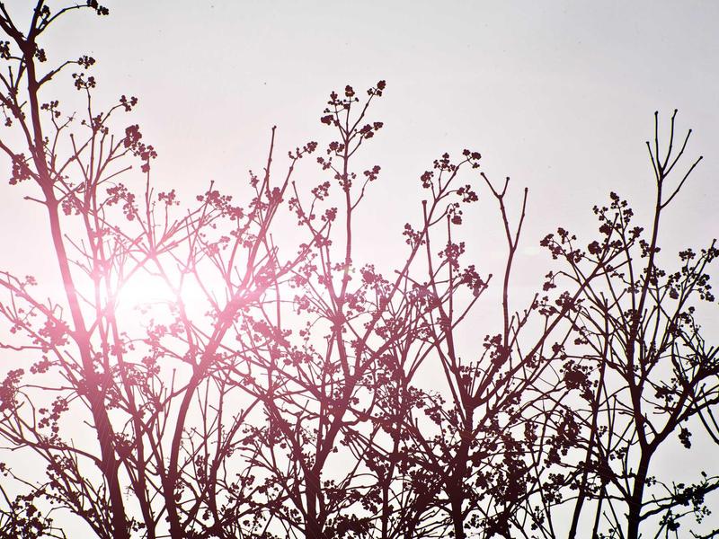 sudoku special edition screenshot 5